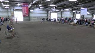 Sunday July 2 2023 730 AM CDT  All American Junior Sheep Show Red Ring [upl. by Iand]