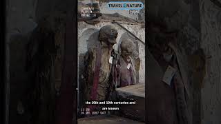 Capuchin Catacombs Italy Mysterious Underground World shorts travel8nature factsvideo [upl. by Saenihp]