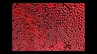 Trypophobia Test Images [upl. by Siger87]