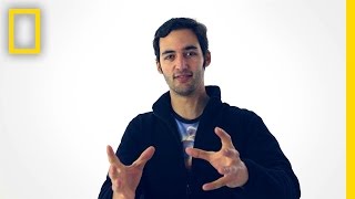 Jason Silva on Color  Brain Games [upl. by Keverian]