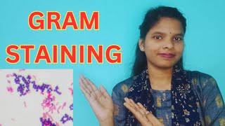 GRAM STAINING FULL DETAILS IN BENGALI  GRAM STAIN PROCEDURE gramstaining [upl. by Wehner]