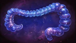 Balance and Vitality Large Intestine Meridian  432 Hz Frequency  Binaural Music [upl. by Hilten]