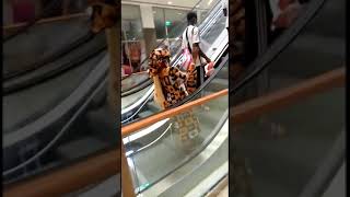 Regardez ce que les escaliers roulant du Douala shopping mall font au Camerounais 🤣🤣🤣 [upl. by Nuahsak]