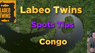 Fishing planet  Live Labeo tips spots Congo and Marlin Japan [upl. by Blake]