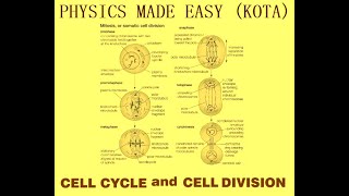 REPEATER NOTES 11TH BIOLOGY PART 1 CELL CYCLE amp CELL DIVISION PLANT amp ANIMAL KINGDOM FOR NEET1 [upl. by Vincenta250]