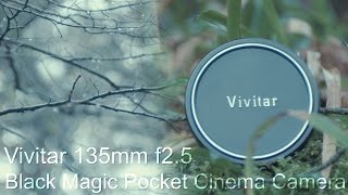 Vivitar 135mm f25 Daylight Footage  BMPCC [upl. by Yanel456]