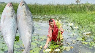 মাঠ থেকে শাপলা তুলে ইলিশ মাছের মাথা দিয়ে রান্না করলাম সাথে বেগুন ইলিশ তেলঝাল  hilsha fish recipe [upl. by Ihn]