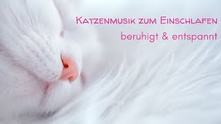 Katzenmusik zum Einschlafen Nr2  beruhigend und entspannend für Katzen amp ihre Freunde [upl. by Assenov]