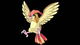 017 Pidgeotto Cry [upl. by Mark]