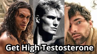 Increase your testosterone naturally NO BS GUIDE [upl. by Ahsii]