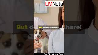 Dog Bite Wound Care 🐶 nursing doctor medical [upl. by Leziar]