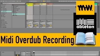 Midi Overdub  Everything you need to know  Session View Edition  26 [upl. by Revlis]