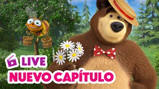 🔴 LIVE 🐻👧 Masha y el Oso 💥 NUEVO CAPÍTULO 🍯🐝 Día de Miel 🎬 Masha and the Bear [upl. by Myer909]