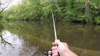 SPOON Fishing for Rainbow amp Brown TROUT creek fishing [upl. by Mosley]