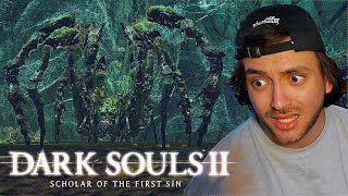 Arachnophobe Fights Dukes Dear Freja  Dark Souls 2  Part 10 [upl. by Ninahs581]