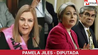 Pamela Jiles quotEl Gobierno le va a enajenar sus fondos perderán la propiedad privada de sus fondosquot [upl. by Notgnilra]