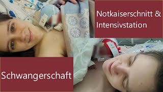 Die Küken sind geschlüpft 🐣🐣 Notkaiserschnitt amp volle Intensivstation zwillinge [upl. by Ellan]