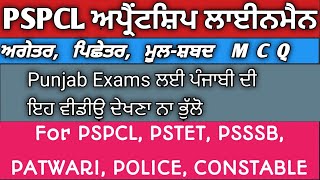 ਅਗੇਤਰ ਪਿਛੇਤਰ Agetar Pichetar MCQ for PSPCL PSTET PSSSB Punjab Exams Constable patwaripolice [upl. by Aggie846]