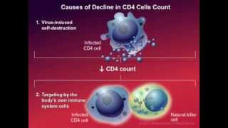 How HIV Causes Disease [upl. by Noonan369]