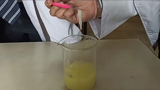 DNA Extraction From Banana [upl. by Sam]