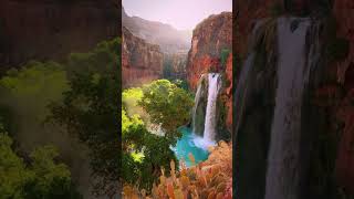 The turquoise waters of Havasu Falls 💦 shorts [upl. by Stovall]