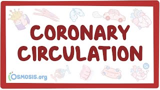 Coronary circulation  an Osmosis Preview [upl. by Giff]