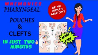 PHARYNGEAL POUCHESğŸ˜€ amp CLEFTS  DERIVATIVES EASY MNEMONICSğŸ˜  NEW VIDEO 2021  Dr Vk Anatomy [upl. by Norven]