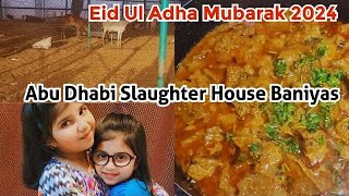 Eid Ul Adha Mubarak 1st day 2024  AbuDhabi Slaughter House Baniyas  Masaledar Soft Kaleji Recipe [upl. by Pyotr]