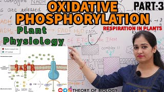 Oxidative phosphorylationrespiration Plant physiology Neet2025 HTET PGT BIOLOGYDSSSBKVSCUET [upl. by Ledua]