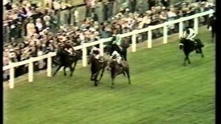 1976 Gold Cup [upl. by Fontes]