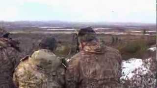 Late Season Moose Hunting at Red Indian Lake Outfitters  Woods N Water TV [upl. by Betz]