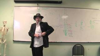 The Secret Code of Back Shu Points DrAdamAtman Acupuncture Seminar1 [upl. by Zak]