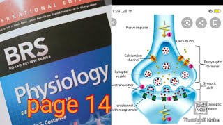 Synaptic transmission FCPS part 1BRS PHYSIOLOGY LECTURES l kulsoom Rasheed Depar [upl. by Dymphia]