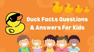 Duck Facts Questions amp Answers For Kids  ABC Wonderland [upl. by Lily266]