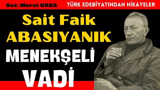 Sait Faik Abasıyanık quotMenekşeli Vadiquot Türk Edebiyatıbdan Sesli Kitaplar [upl. by Coray]