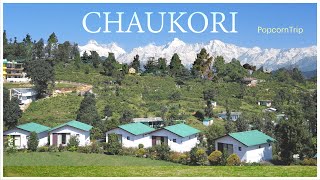 Chaukori चौकोड़ी Travel Guide Uttarakhands Hidden Paradise  A Cinematic Journey [upl. by Bainter]