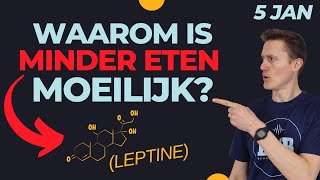 Leptine is misschien de reden waarom je niet kan stoppen met eten [upl. by Arahat969]