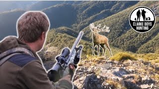 ULTIMATE DEER HUNT Big stag success 5 day mountain hunting adventure [upl. by Sedicla]