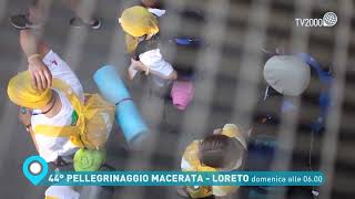 44° Pellegrinaggio Macerata  Loreto domenica 12 giugno ore 6 su Tv2000 [upl. by Chappelka]