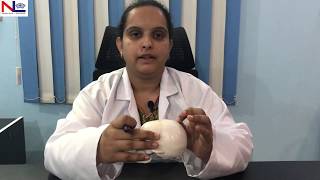 Fetal Skull  Practical Explanation  English  Nursing Lecture [upl. by Urquhart470]