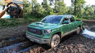 Toyota Tundra TRD Pro  Mud Offroading  Forza Horizon 5  Steering Wheel Gameplay [upl. by Korten394]