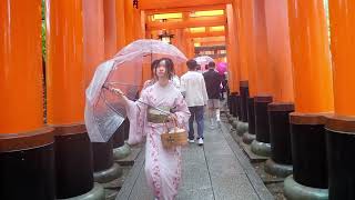 Japanese Shrine Fushimi Inari Taisha Kyoto [upl. by Atazroglam818]