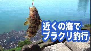 【穴釣り】近所の海でブラクリ釣行【テトラポット】Rockfish fishing [upl. by Banquer455]