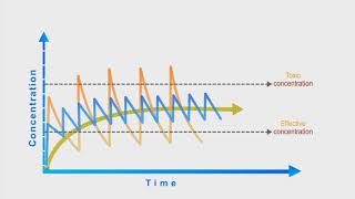 Pharmacokinetics animation Dosing Interval [upl. by Urien]