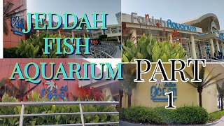 Most giant Fish Aquarium Saudi Arabia Fakieh Aquarium Jeddah Popular Tourist Place Aquarium Vlog [upl. by Frangos]