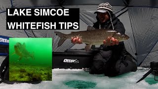 Ice fishing Lake Simcoe for whitefish Tips [upl. by Lynnell381]