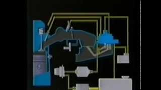 Bosch KJetronic CIS explained [upl. by Assele435]