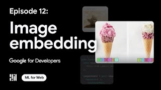 Getting started with image embedding for web using MediaPipe Solutions [upl. by Ynez]