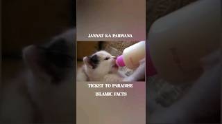 Jannat Ka Parwana  Ticket To Paradise shorts youtubeshorts islamicshorts jannat paradise [upl. by Balliett]