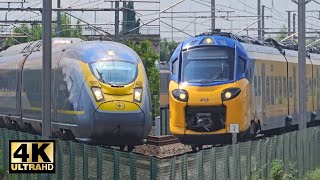 Train Traffic on HSL 4 between Antwerp and Rotterdam 300 kmh  August 7 2024 [upl. by Diaz]